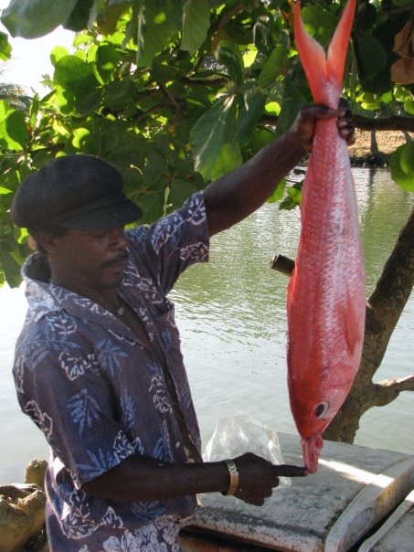 1913571_372972605787_7039708_n