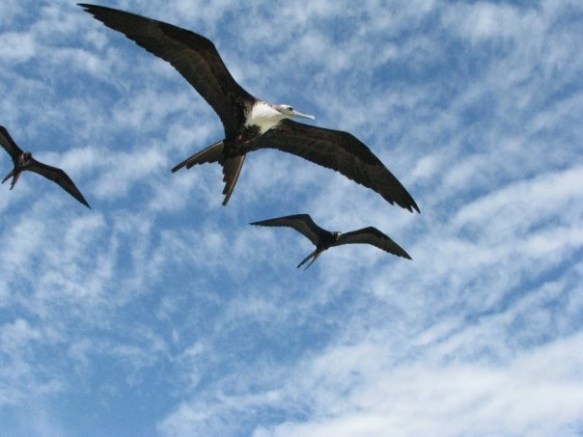 1913571_373104060787_776166_n