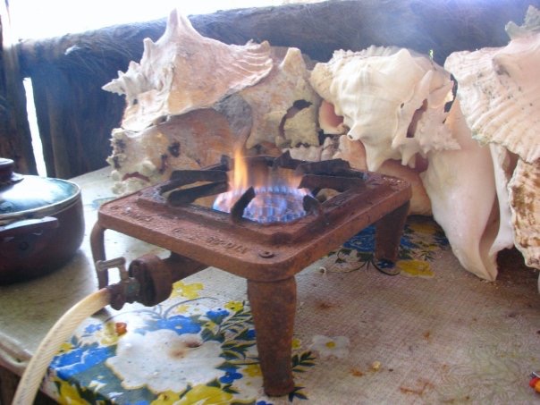 1913571_373104215787_6564402_n