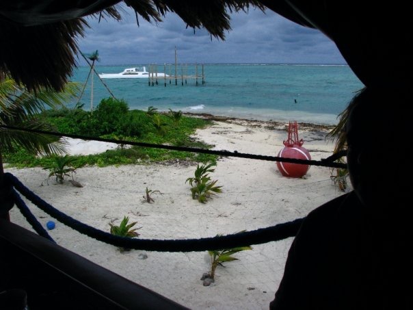 1913571_373104320787_1032305_n