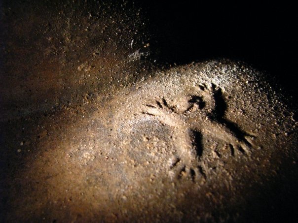 1913571_373404015787_1687744_n