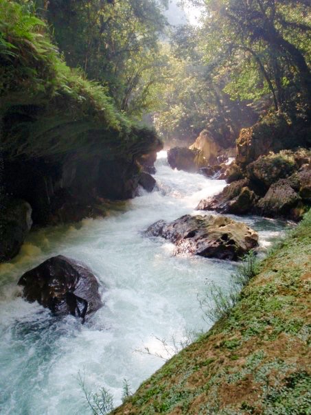 22632_443390150701_6965053_n