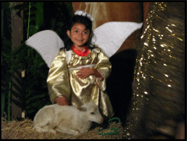 Screen Shot 2015-05-06 at 1.49.14 PM