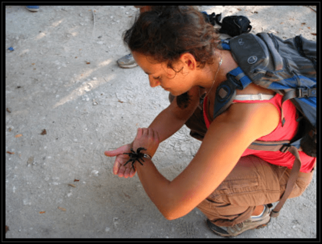 Screen Shot 2015-05-06 at 1.51.43 PM