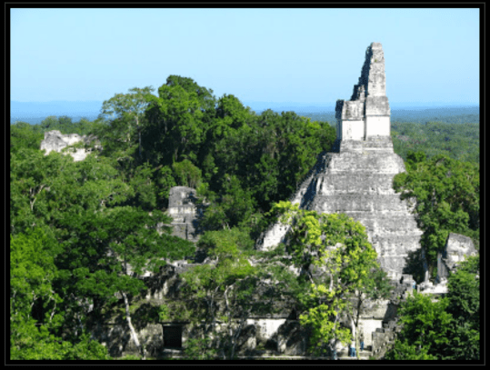 Screen Shot 2015-05-06 at 1.51.55 PM