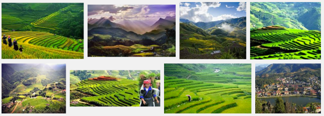 Screen Shot 2015-11-30 at 3.06.54 PM