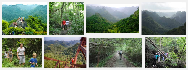 Screen Shot 2015-11-30 at 3.43.28 PM